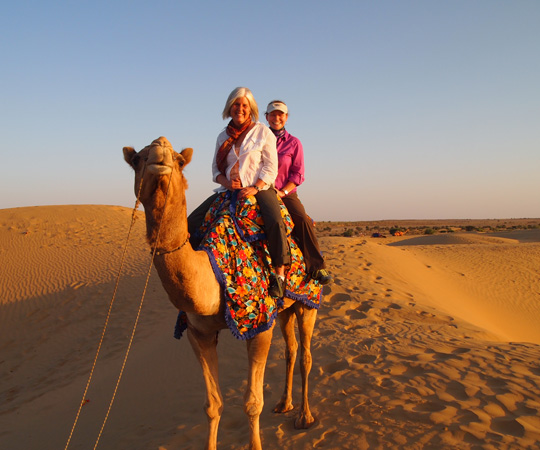 Camel Safari Jodhpur