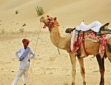 Camel Safari Jodhpur