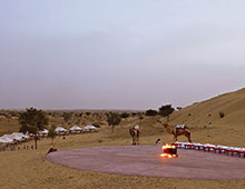 Camel Safari Jodhpur