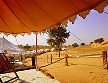 Luxury Tent in Jodhpur